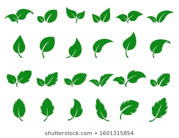 Green leaves logo. Leaf icon set. Herbal eco abstract label. Bio, vegan or pharmacy concept. Simple flat foliage design. Decorative nature silhouette. Fresh mint isolated sign. tree sprout