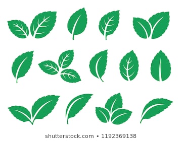 blue mint leaves set icons on white