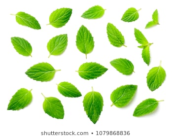 fresh peppermint leaves isolated on white, top view