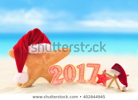 Happy New Year 2017. Starfish in Santa hat on the summer beach.