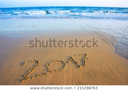 2017 written in sand, on tropical beach