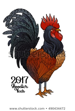 Graphic rooster drawn in line art style. Symbol of 2017 year isolated on the white background in red,brown and black colors.