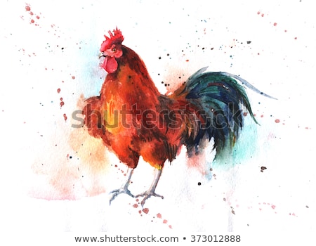 Watercolor hand-drawn bright-colored rooster