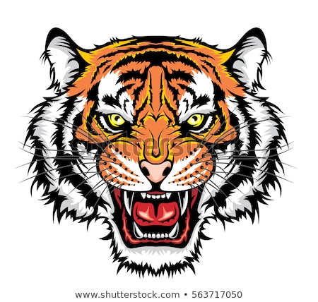 1.244 logo thương hiệu Puma, bộ ảnh stock vector tuyệt đẹp cho ...