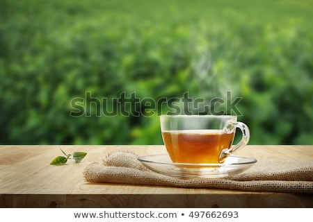 Những hình ảnh trà sữa đẹp thu hút mọi ánh nhìn  Bao bì xanh Nguyên Phong