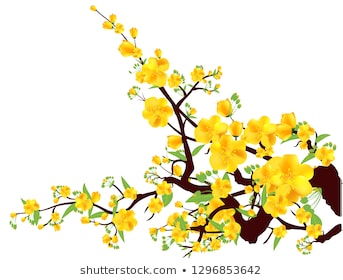 Bạn yêu thích hoa mai và muốn xem các bức tranh về loài hoa này? Hãy tìm kiếm các hình ảnh về hình vẽ hoa mai trên internet. Các bức tranh tinh tế, đầy màu sắc và nghệ thuật sẽ chắc chắn làm bạn vô cùng hài lòng.