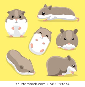 14.044 Hình Ảnh Về Chuột Hamster, Chùm Ảnh Vô Cùng Dễ Thương Ngộ Nghĩnh  Đáng Yêu Nhất - Mua Bán Hình Ảnh Shutterstock Giá Rẻ Chỉ Từ 3.000 Đ Trong 2  Phút