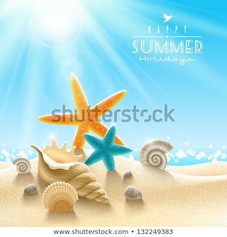 Sommer Strand Bilder Sand Muscheln Seesterne Und Korallen Auf Einem Weißen Hintergrund Bild Verfügbar iStock