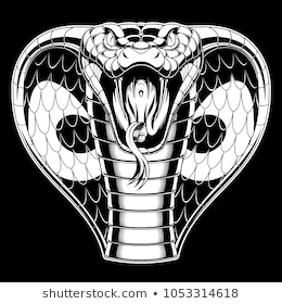 HÌNH NỀN CHIẾN BINH ĐẠI TƯỚNG TAM QUỐC CHIẾN THẦN LIÊN QUÂN MOBI   Dragon artwork fantasy Dragon tattoo art Dragon illustration