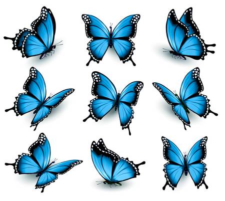 Hình xăm con bướm màu xanh năm 2024:  Với màu xanh đậm và sắc xảo, hình xăm con bướm sẽ là một lựa chọn tuyệt vời cho những người yêu thích nghệ thuật và sáng tạo. Năm 2024 xuất hiện nhiều mẫu hình xăm con bướm mới chưa từng thấy, mang đến nét đẹp mới lạ cho người xăm. Hãy cùng chiêm ngưỡng các tác phẩm nghệ thuật này và tìm cho mình một kiệt tác sáng tạo.