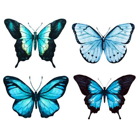 Hình ảnh con bướm đẹp mê mẩn và đầy tính nghệ thuật