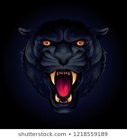 Con báo đen là một thiên tài săn mồi có khả năng diệt trừ bất cứ thứ gì nó bắt được. Hãy xem hình ảnh của con báo đen và khám phá thế giới độc đáo của loài vật này.