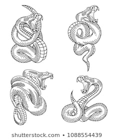 Xem hơn 100 ảnh về hình vẽ con rắn hổ mang  daotaonec