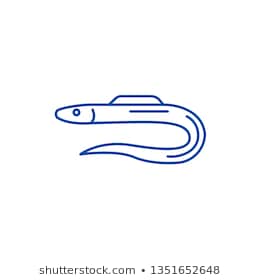 Lươn điện Vẽ Con lươn biển động Vật  mỉm cười snakeeel png tải về  Miễn  phí trong suốt Loài Bò Sát png Tải về