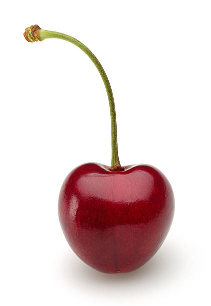 Chia sẻ với hơn 103 màu hình nền trái cherry cute không thể bỏ qua  POPPY