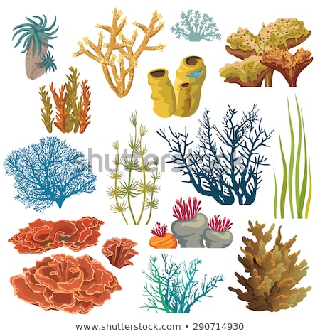 Điểm tô cho chiếc phòng của bạn với bức vẽ san hô dưới biển đầy màu sắc này. Hình ảnh sống động với những con vật biển và rong biển đầy màu sắc sẽ mang đến sự tươi mới và sinh động cho không gian sống của bạn.