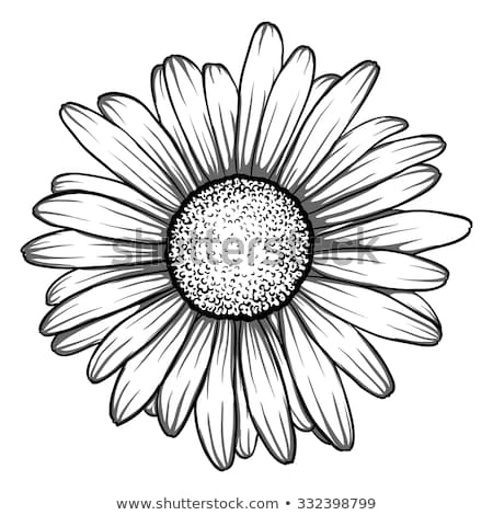 Nếu bạn đang tìm kiếm cách vẽ hoa cúc họa mi đơn giản nhưng vẫn mang lại hiệu quả tuyệt vời, thì đừng bỏ qua 74 cách vẽ hoa cúc họa mi đơn giản tuyệt vời nhất mà chúng tôi muốn chia sẻ. Hãy xem hình ảnh để khám phá với sự ngạc nhiên và hứng thú nhé!