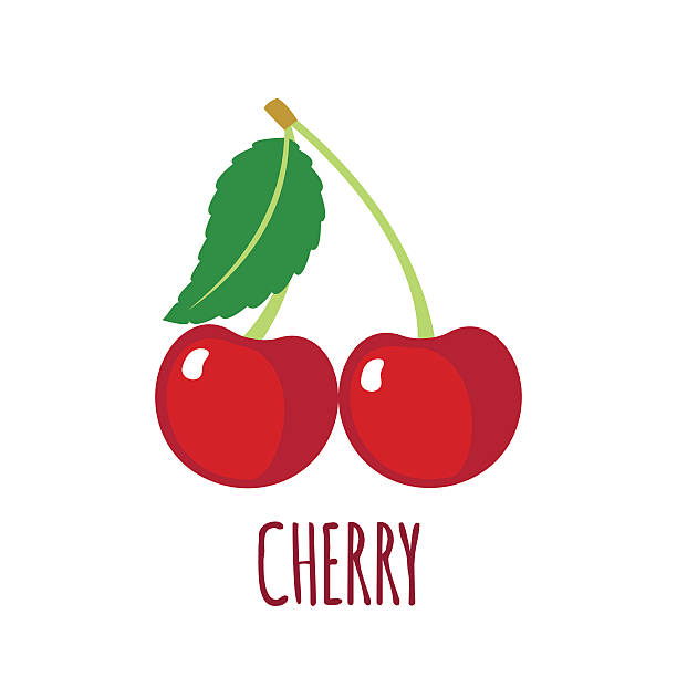 Quả Cherry  Những hình ảnh quả Cherry đẹp nhất