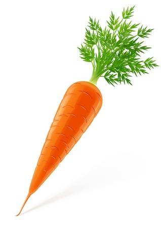 cà rốt và bơ cute