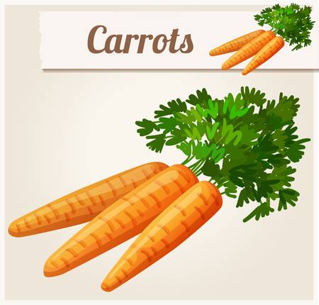 Chi tiết 107 hình ảnh cà rốt cute hay nhất  Tin Học Vui