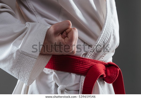 HCM]Hướng Dẫn Tập Luyện Karate Bằng Hình Ảnh | Lazada.vn
